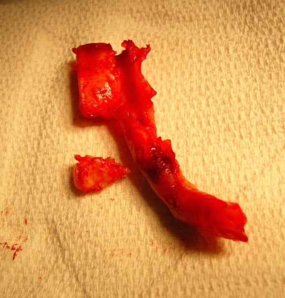 SAMSUNG DIGITAL CAMERA