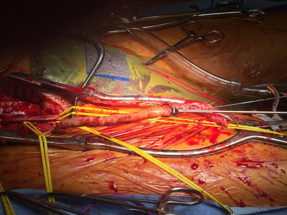 File Mar 31, 13 41 31.jpeg