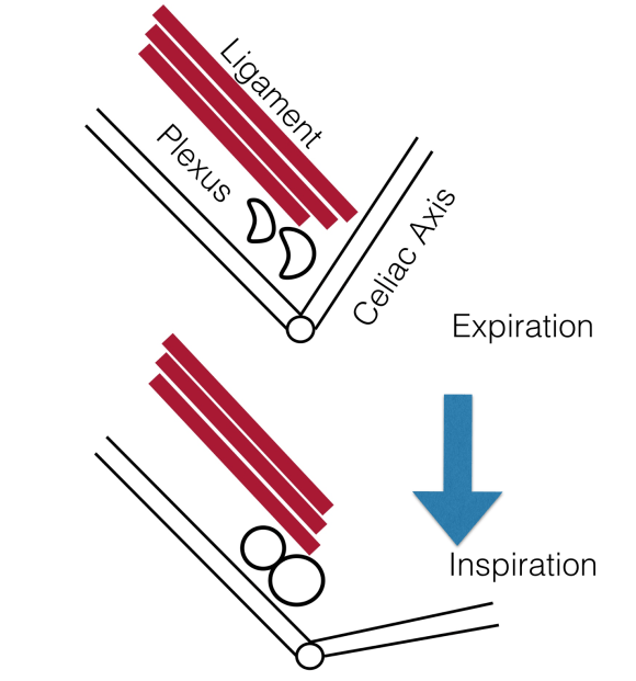 Screen Shot 2019-03-03 at 5.34.02 PM.png