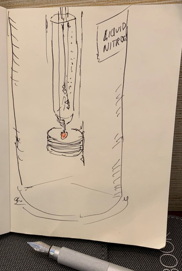 langendorff prep in MRI